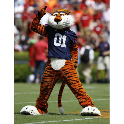 The Auburn Tigers Athletics Mascot: Inspiring Loyalty and Tradition
